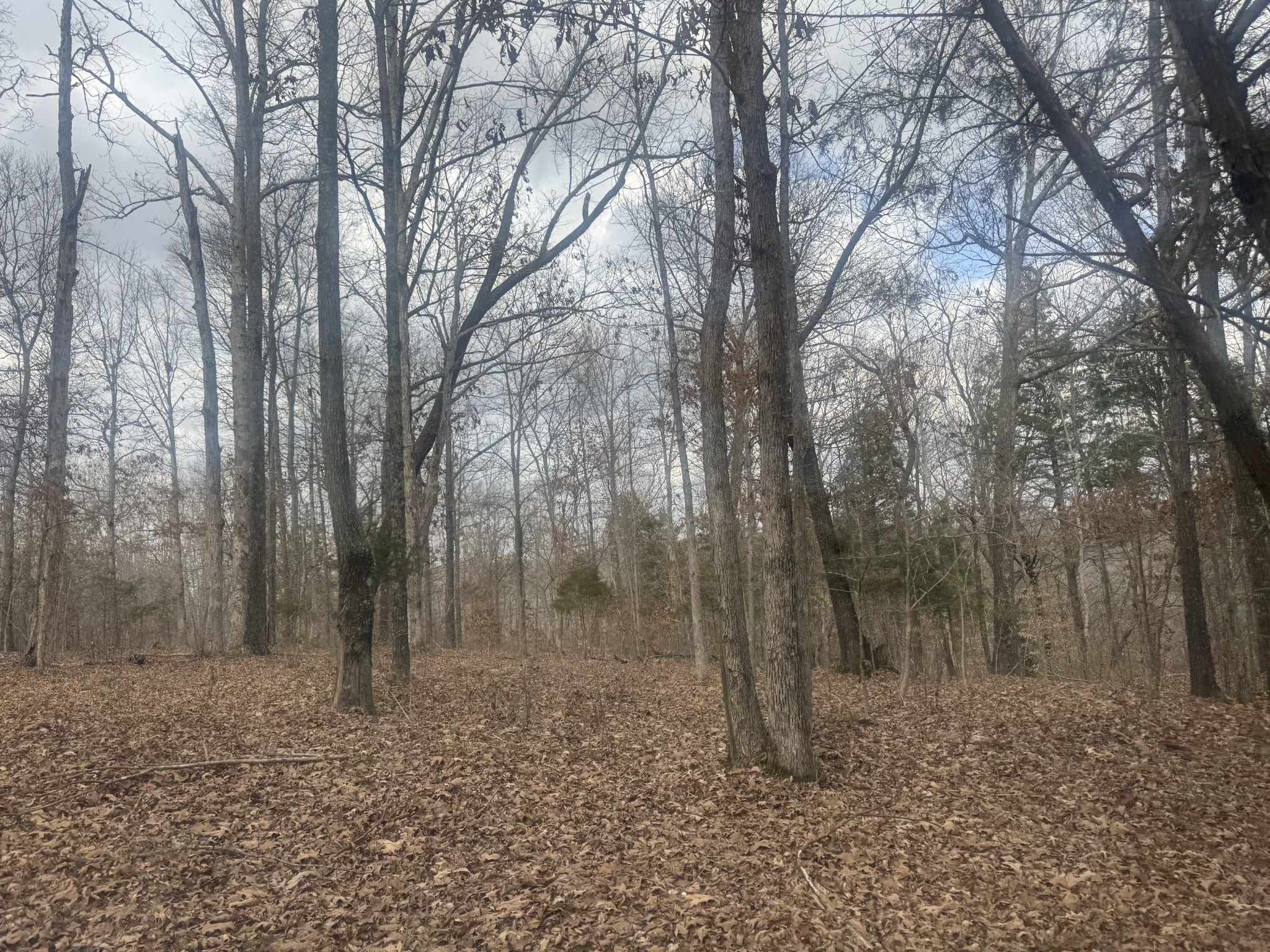 323 Graham Road Cumberland City TN 37050