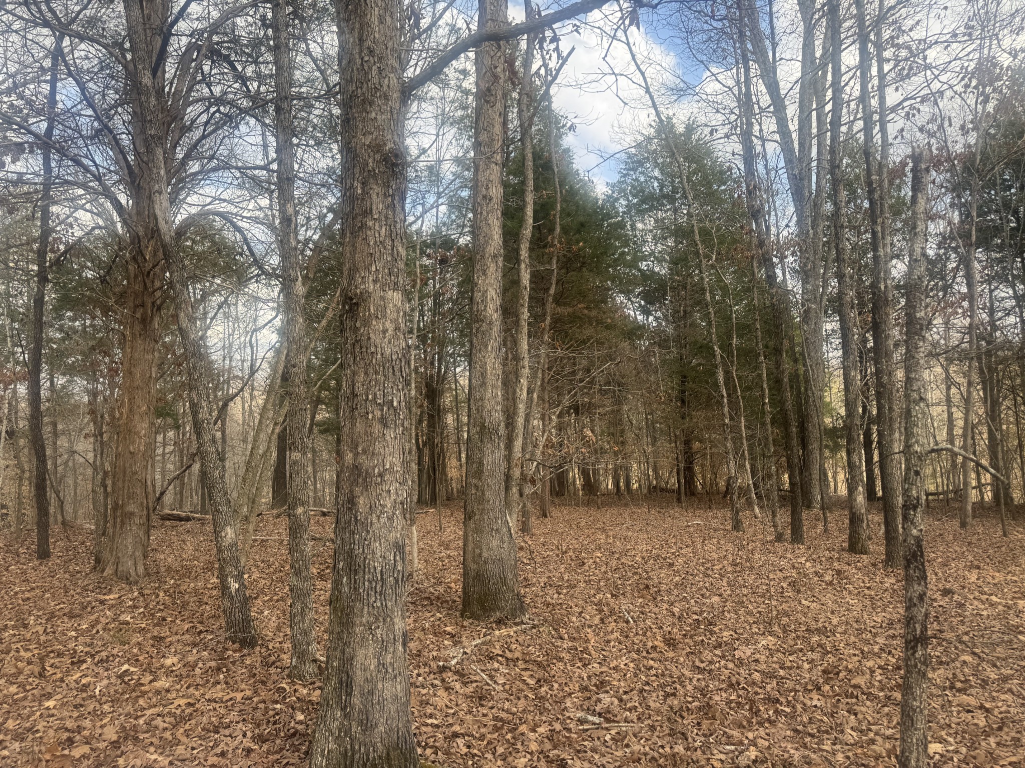 323 Graham Road Cumberland City TN 37050