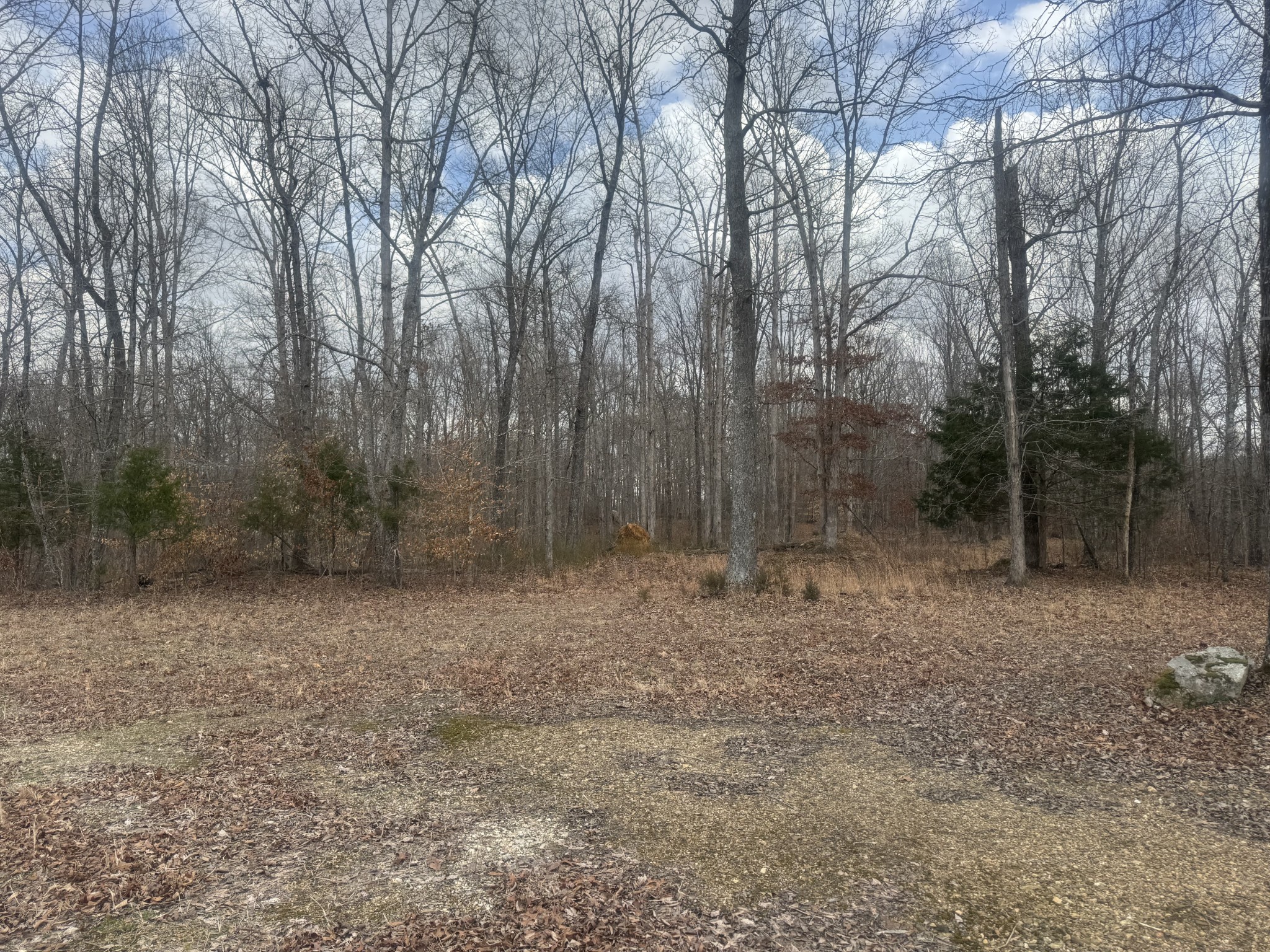 323 Graham Road Cumberland City TN 37050