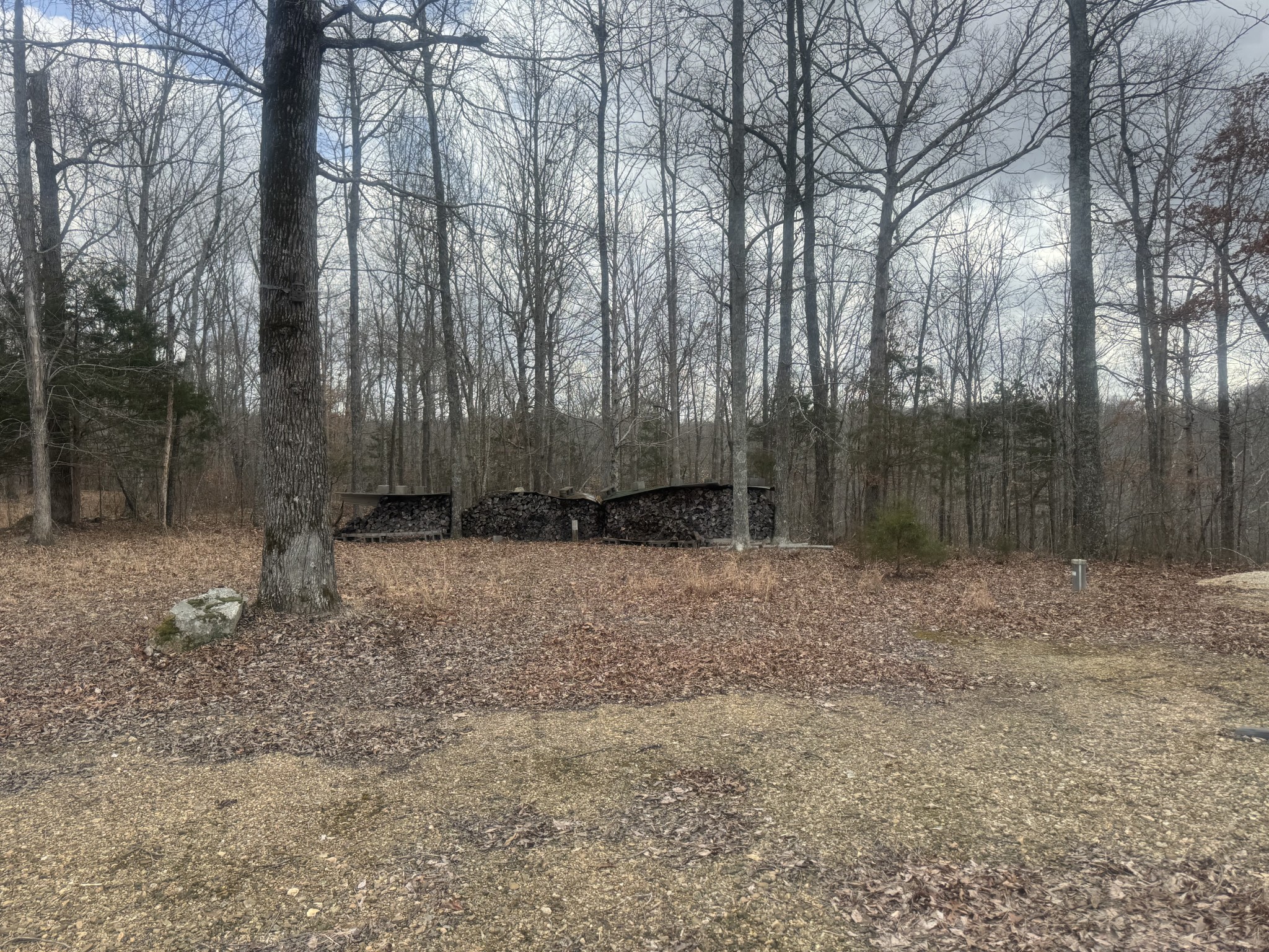 323 Graham Road Cumberland City TN 37050