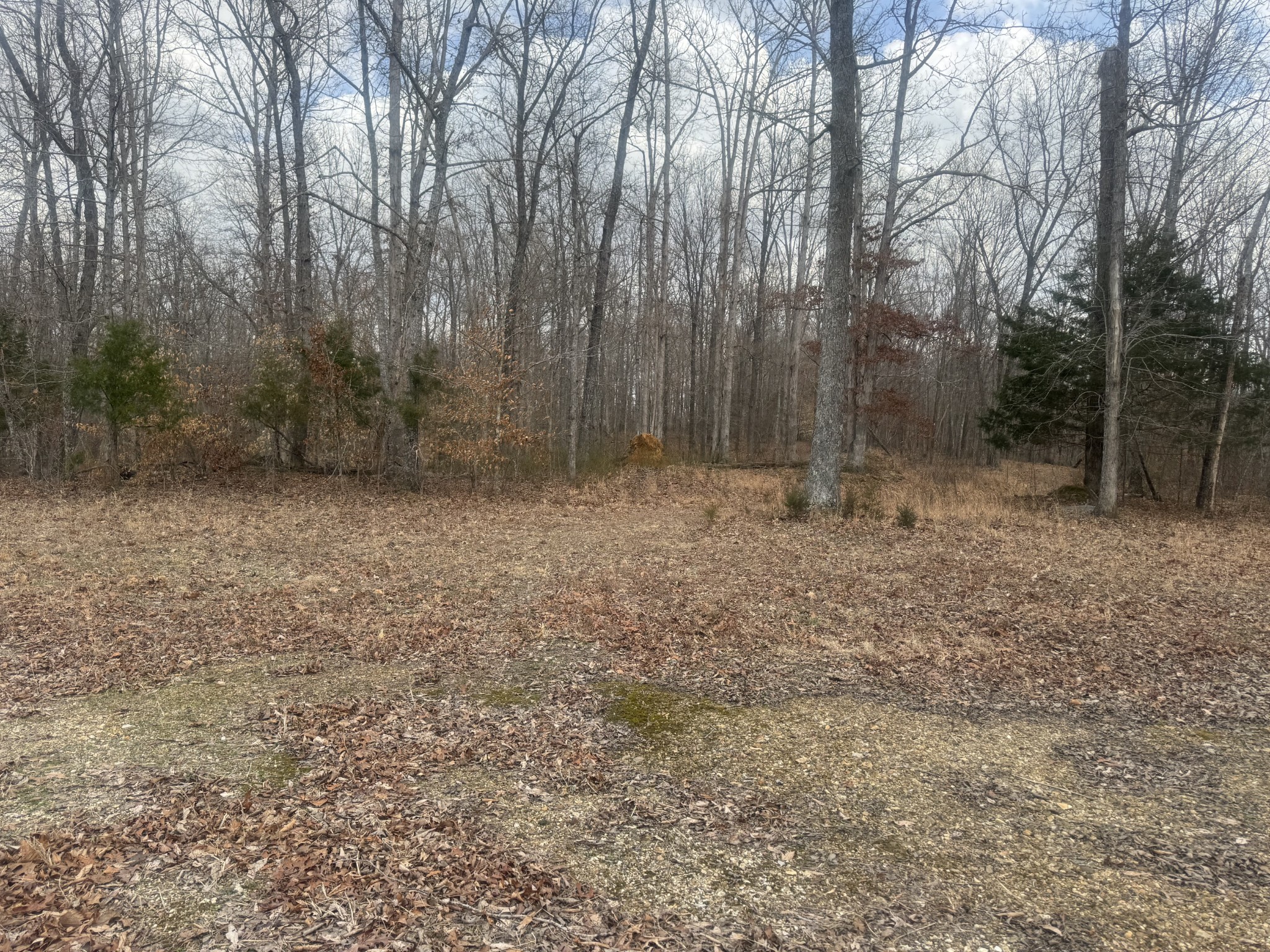 323 Graham Road Cumberland City TN 37050