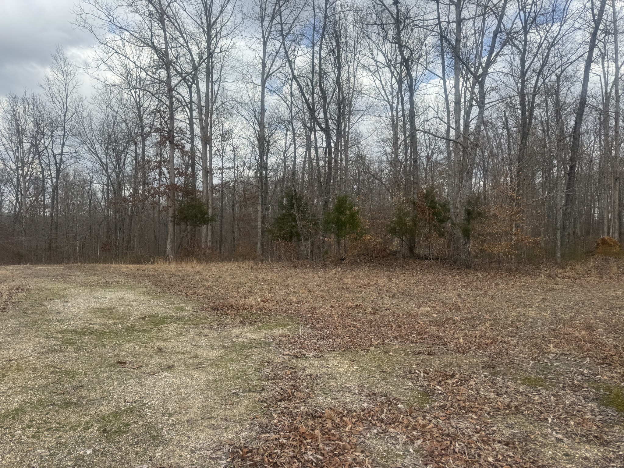 323 Graham Road Cumberland City TN 37050