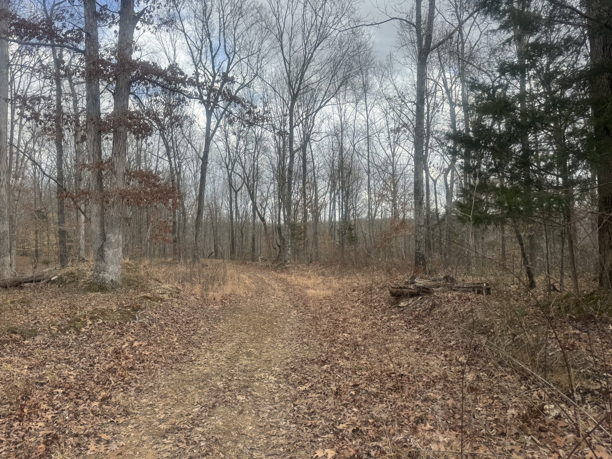 323 Graham Road Cumberland City TN 37050