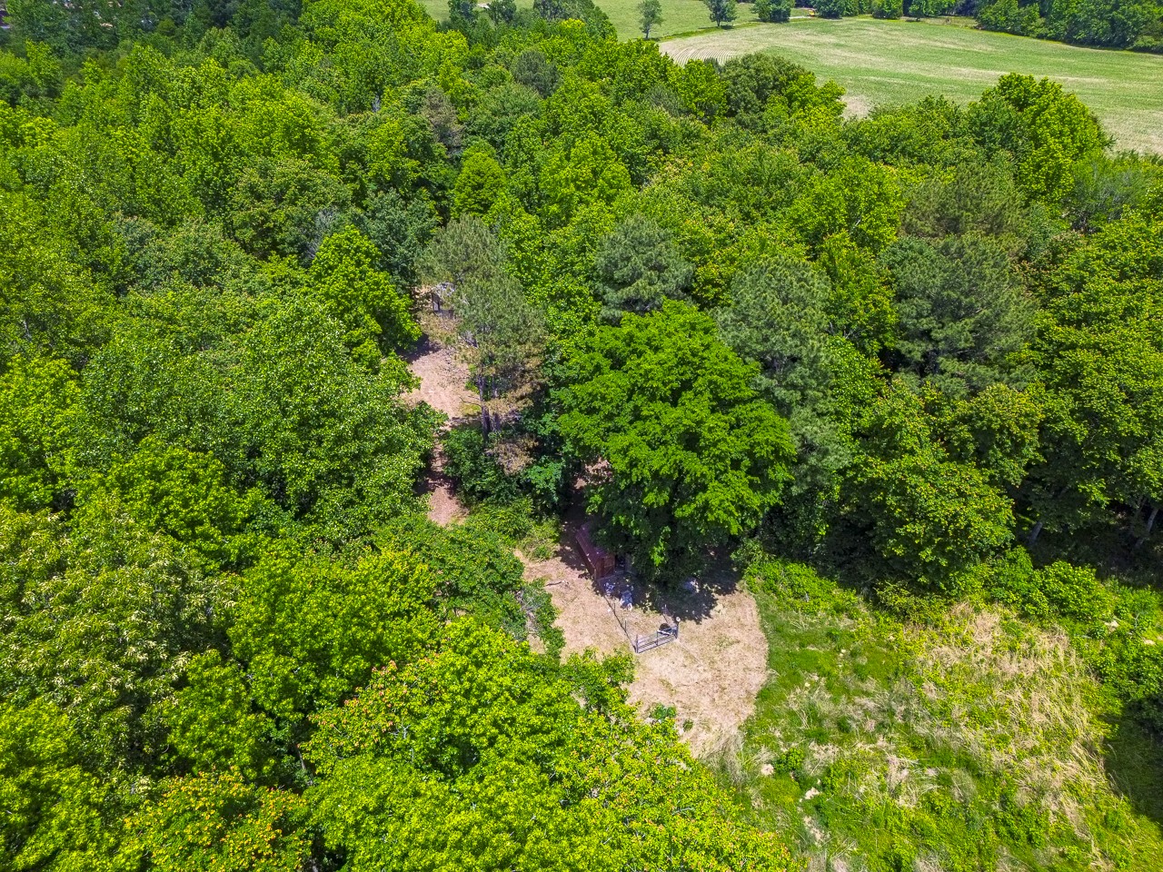 23 Grassy Branch Road Flintville TN 37335