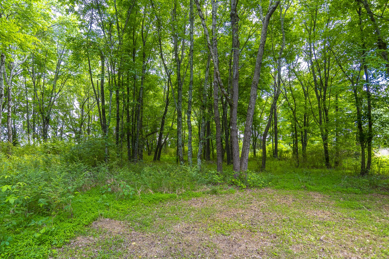 23 Grassy Branch Road Flintville TN 37335