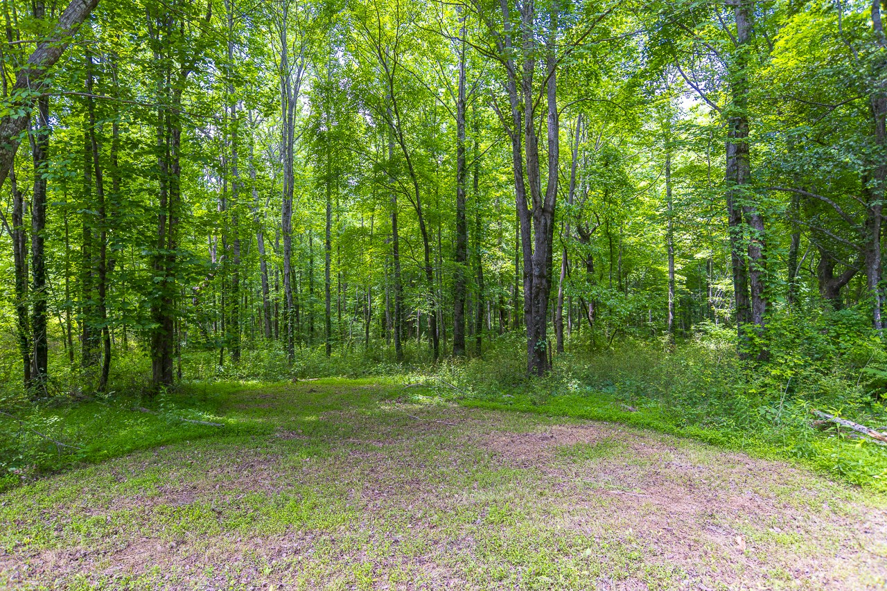 23 Grassy Branch Road Flintville TN 37335