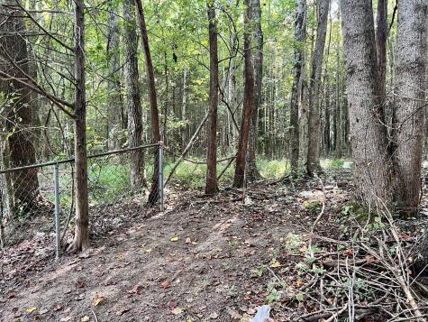 1020 Fall River Road Goodspring TN 38460