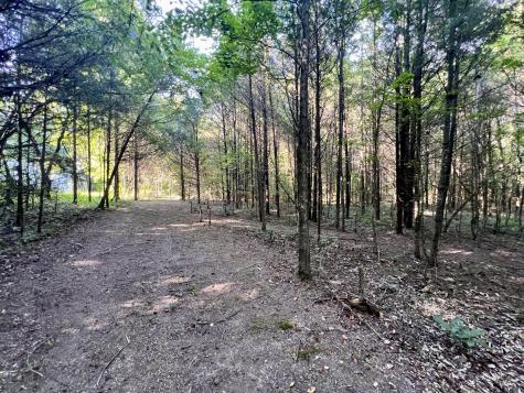 1020 Fall River Road Goodspring TN 38460