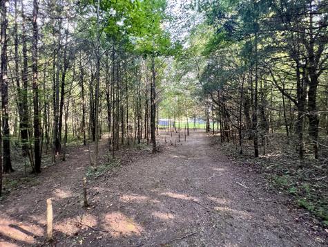 1020 Fall River Road Goodspring TN 38460