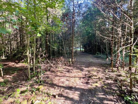 1020 Fall River Road Goodspring TN 38460