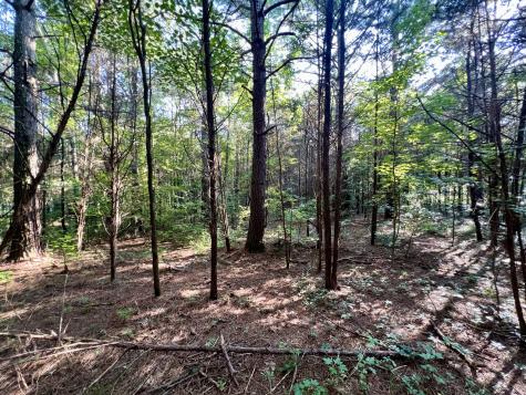 1020 Fall River Road Goodspring TN 38460