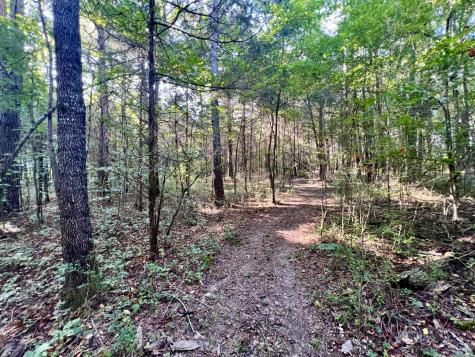 1020 Fall River Road Goodspring TN 38460