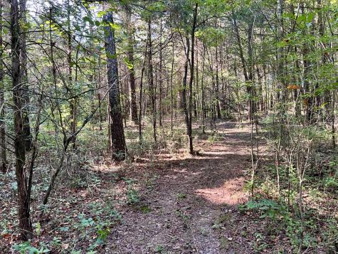 1020 Fall River Road Goodspring TN 38460