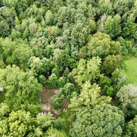 1020 Fall River Road Goodspring TN 38460