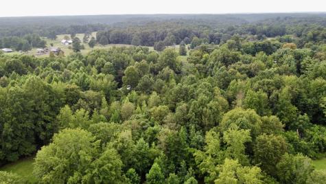 1020 Fall River Road Goodspring TN 38460