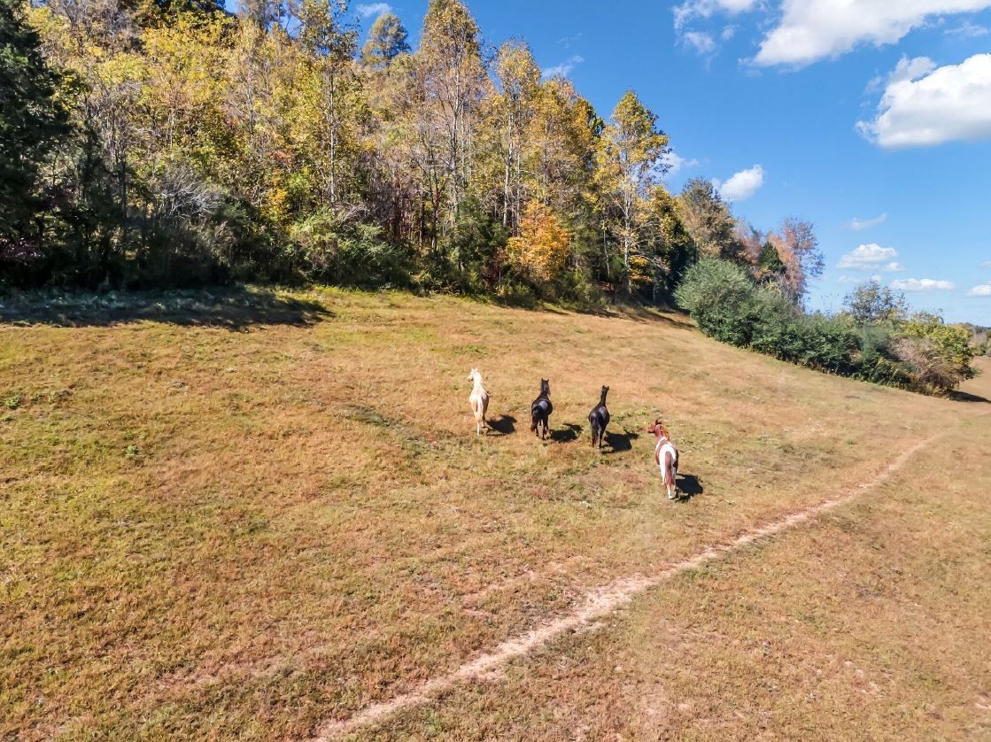 13581 Campbellsville Road Lynnville TN 38472