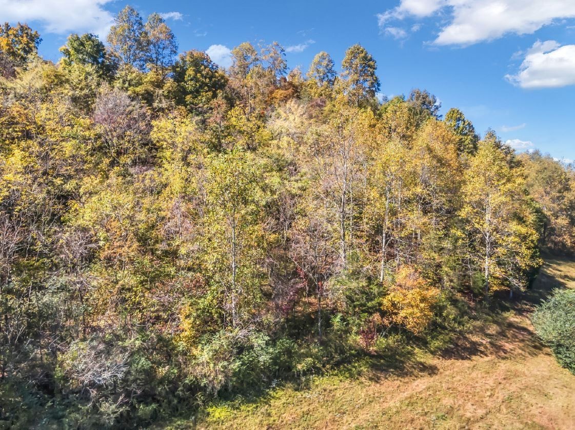 13581 Campbellsville Road Lynnville TN 38472