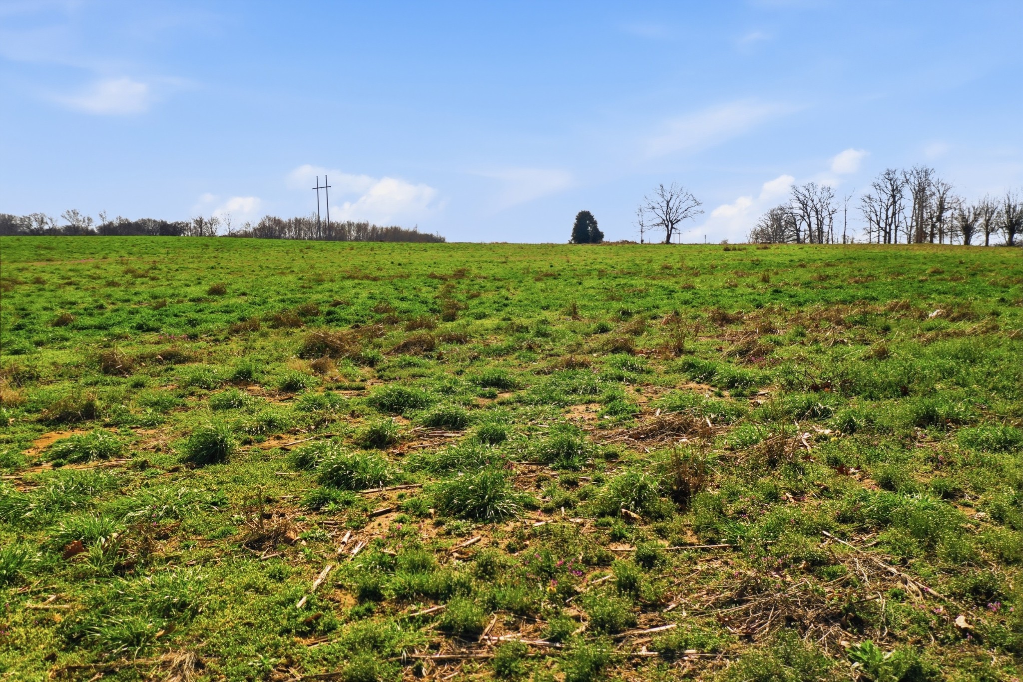 4 Highway 161 Springfield TN 37172