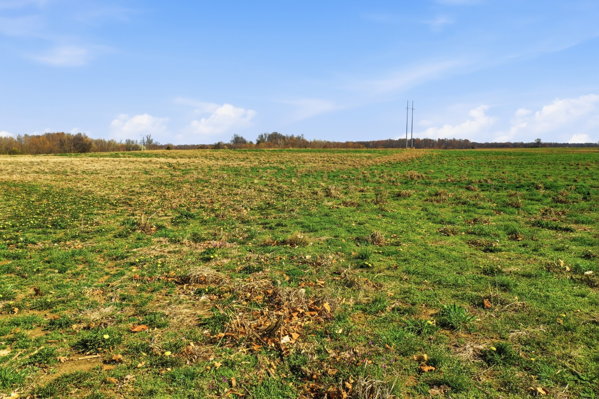 4 Highway 161 Springfield TN 37172
