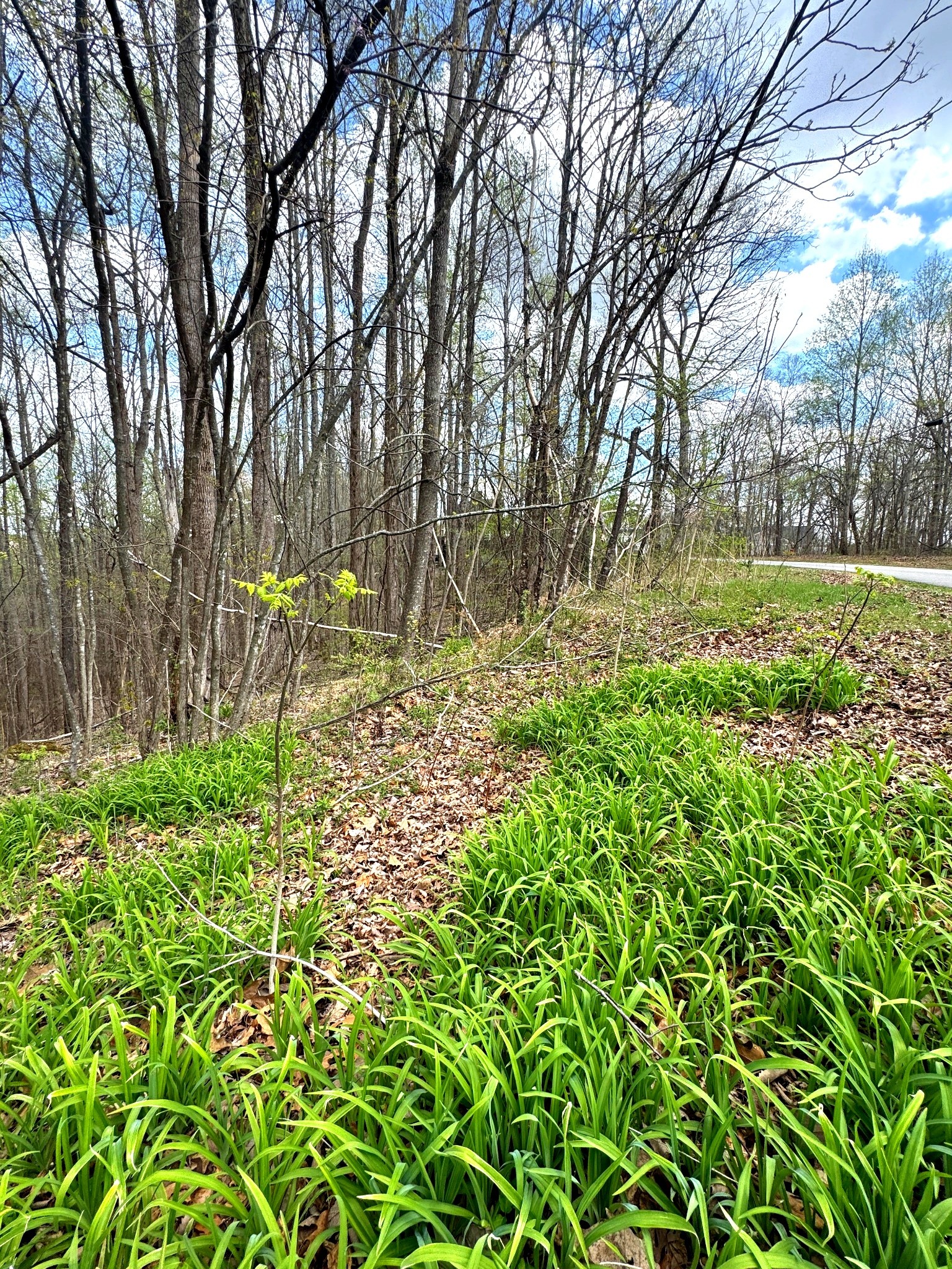 0 Coconut Ridge Road Smithville TN 37166