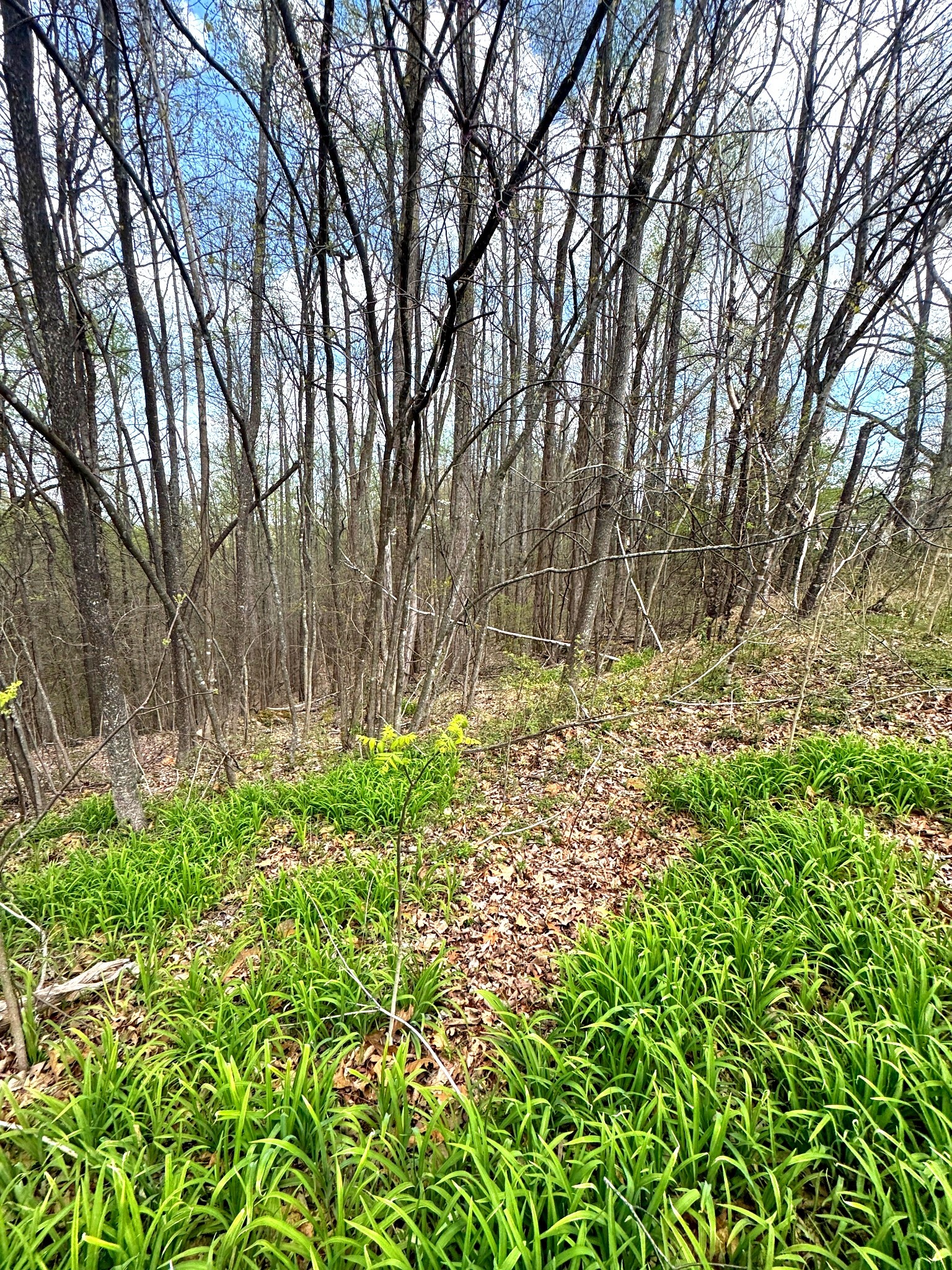 0 Coconut Ridge Road Smithville TN 37166