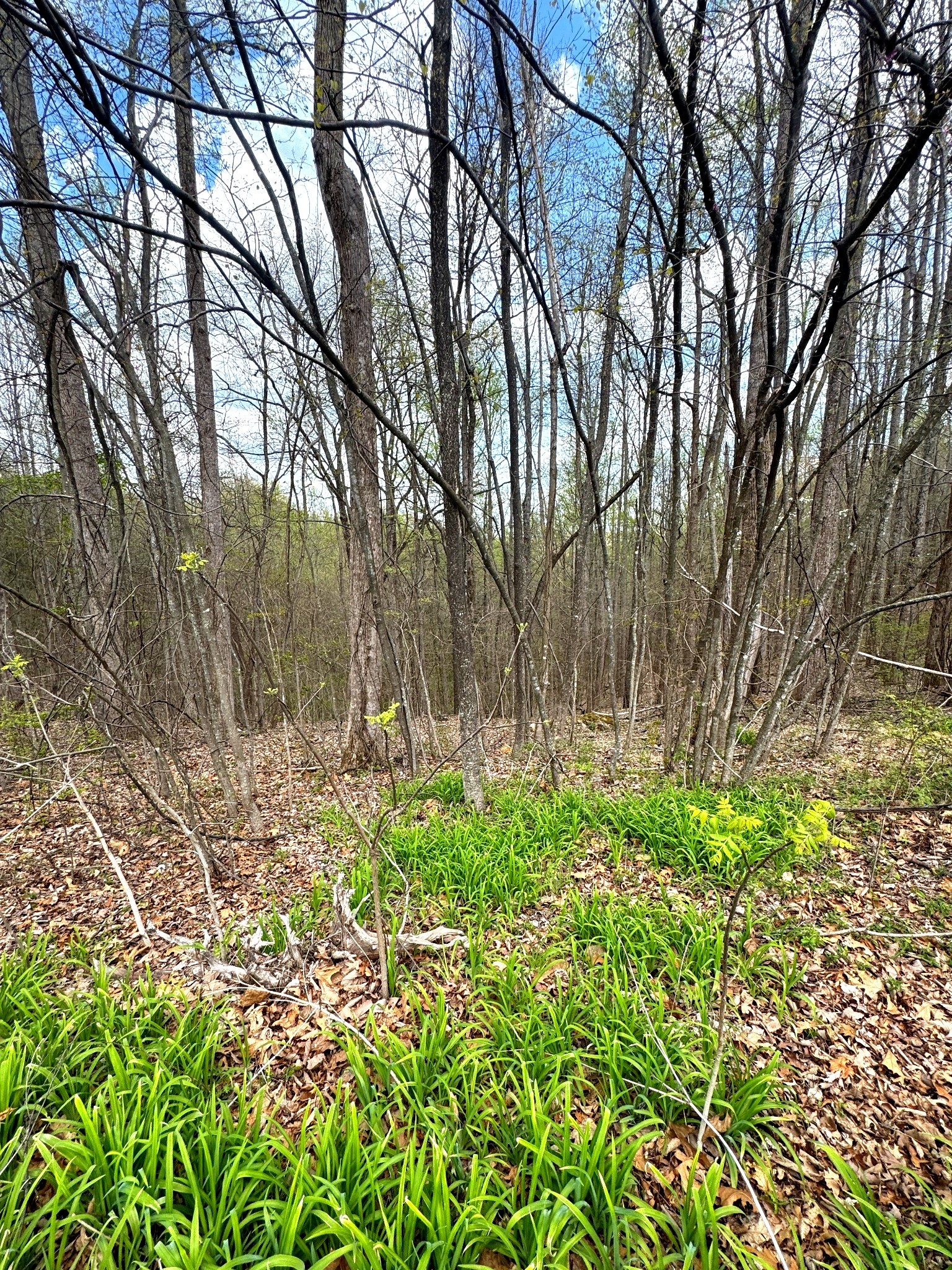 0 Coconut Ridge Road Smithville TN 37166