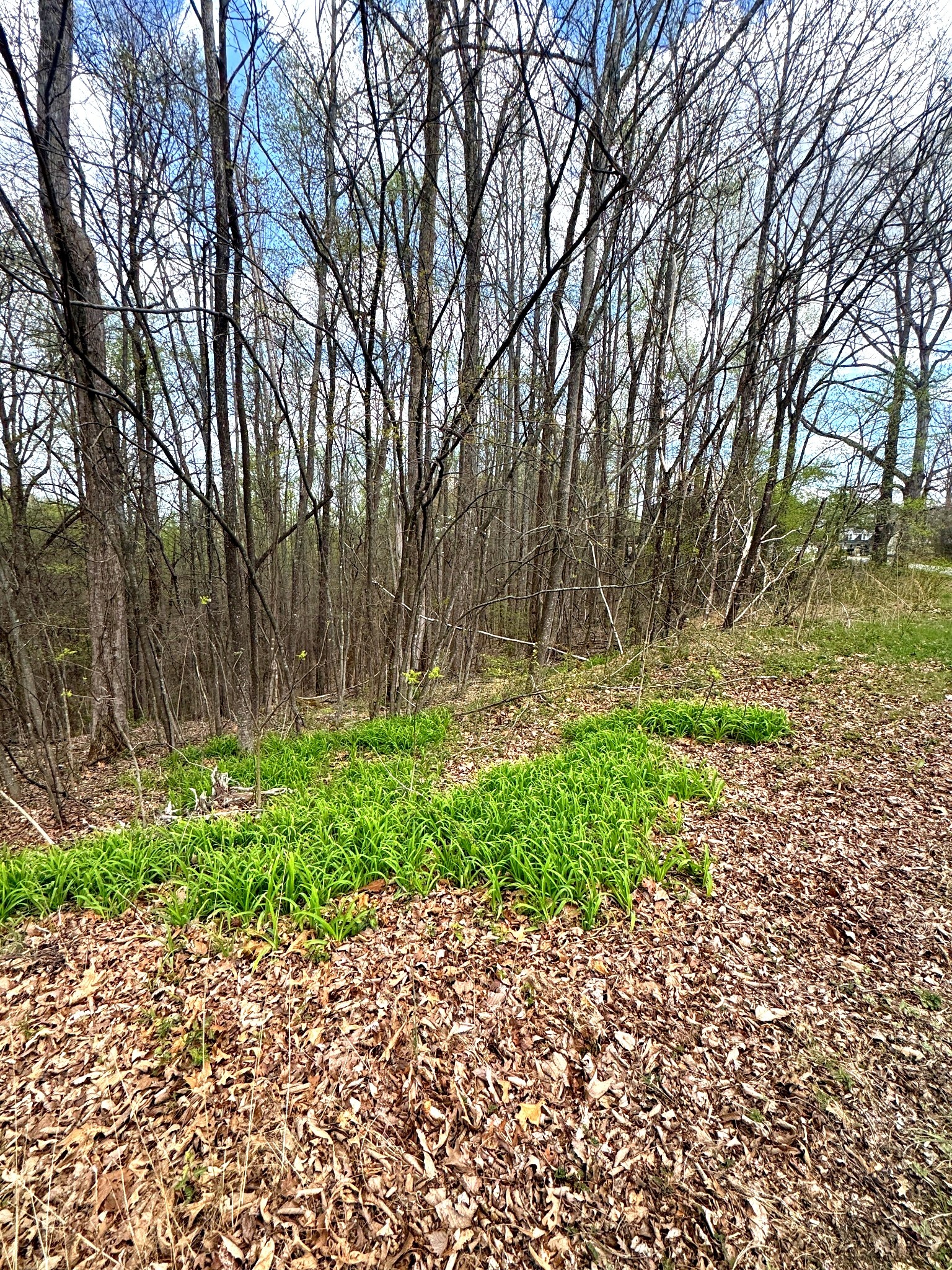 0 Coconut Ridge Road Smithville TN 37166