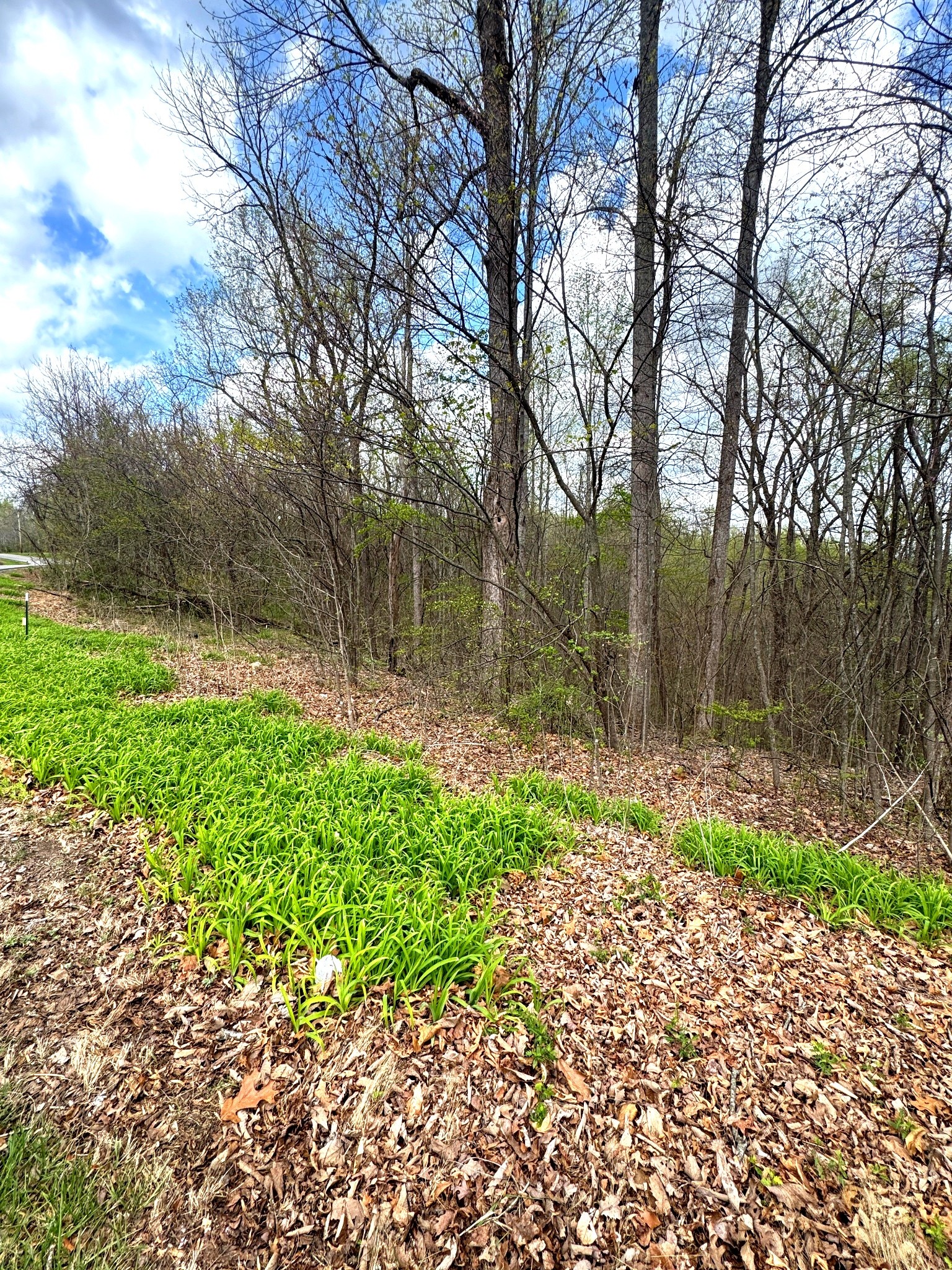 0 Coconut Ridge Road Smithville TN 37166