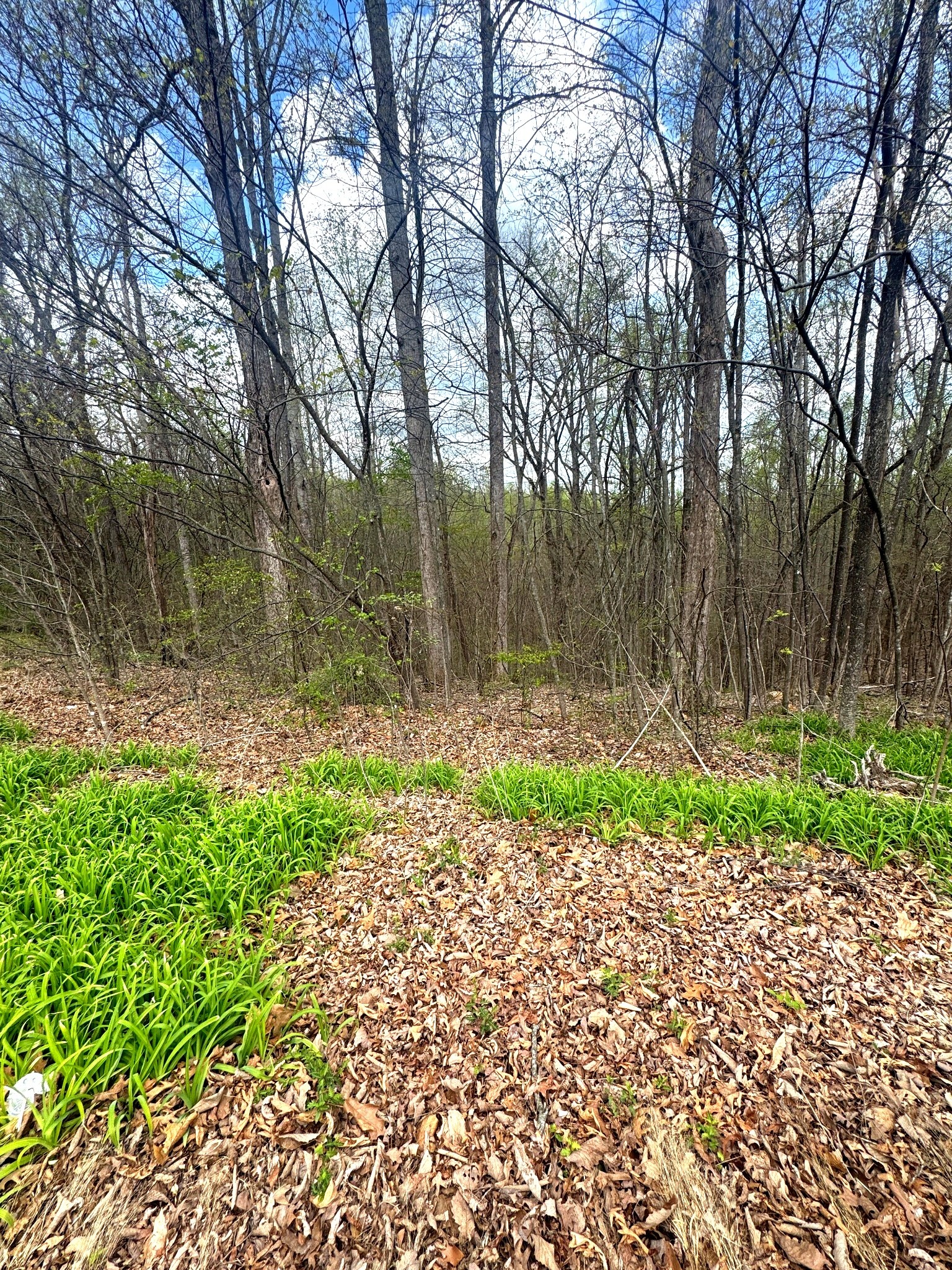 0 Coconut Ridge Road Smithville TN 37166