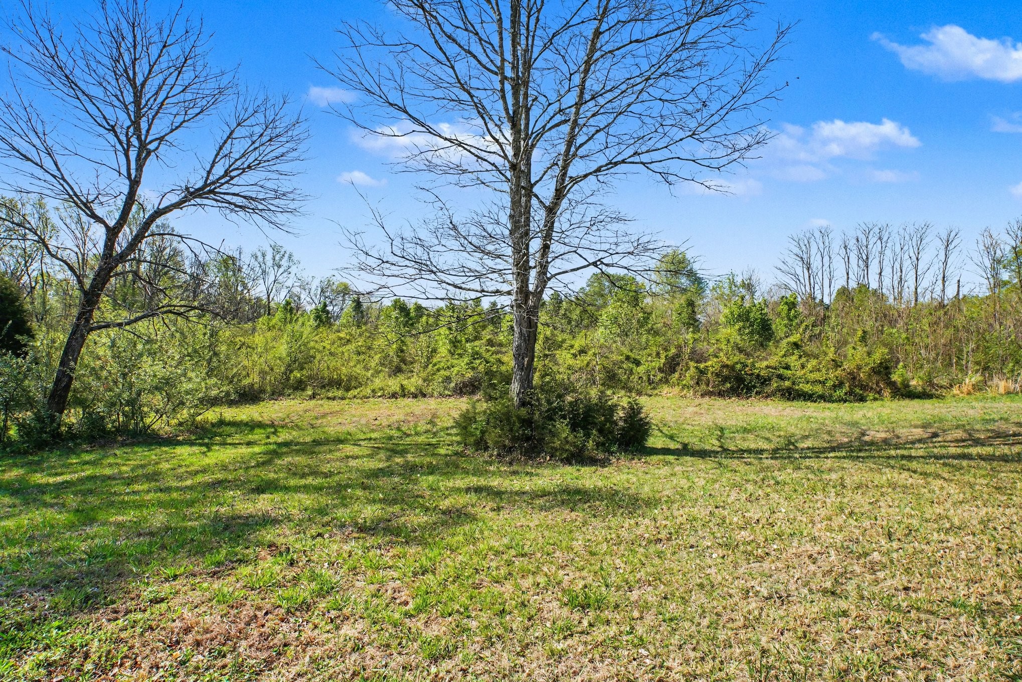 0 Bearwallow Road Ashland City TN 37015
