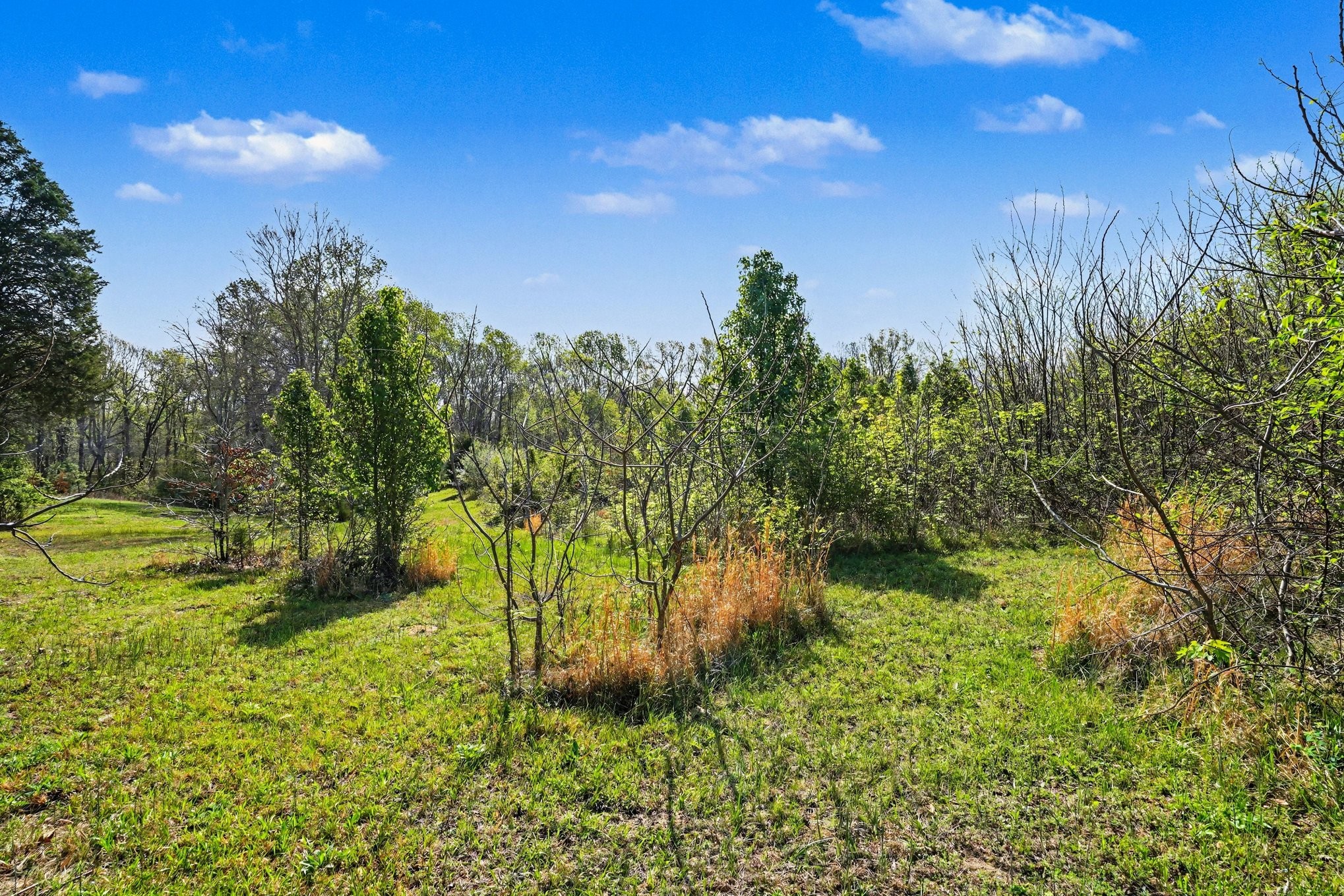 0 Bearwallow Road Ashland City TN 37015