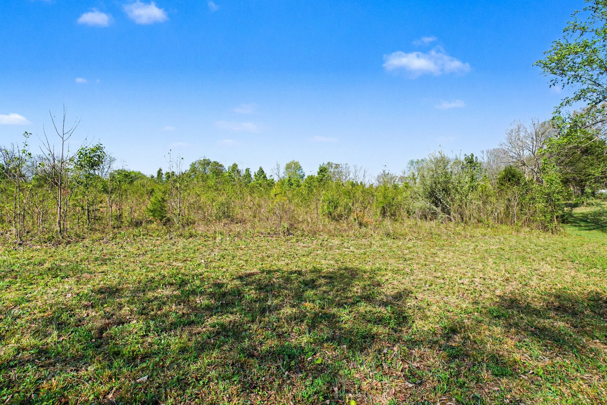0 Bearwallow Road Ashland City TN 37015