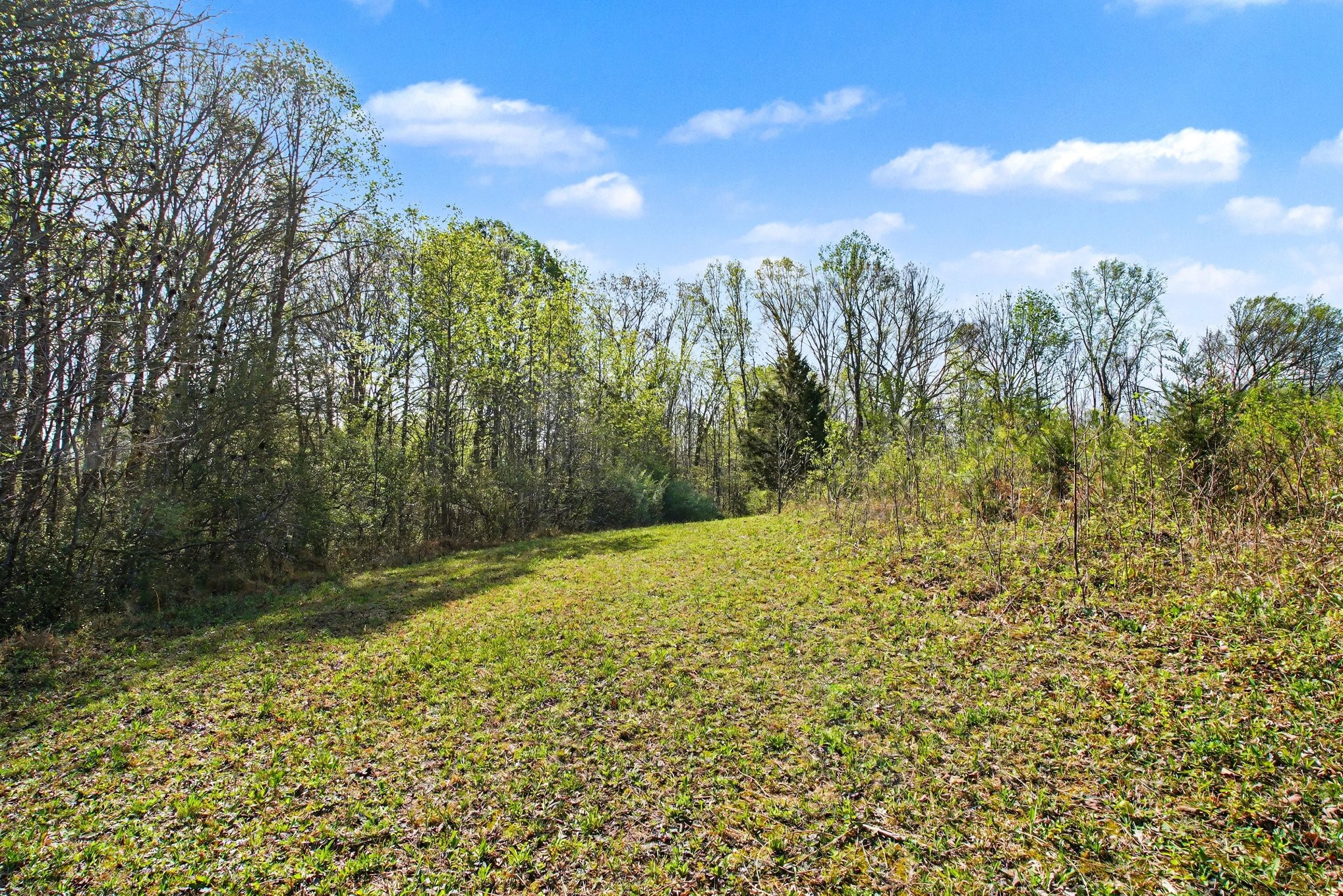 0 Bearwallow Road Ashland City TN 37015