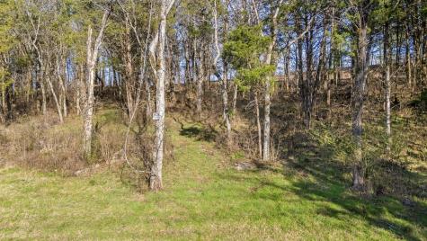 0 Cane Ridge Road Antioch TN 37013