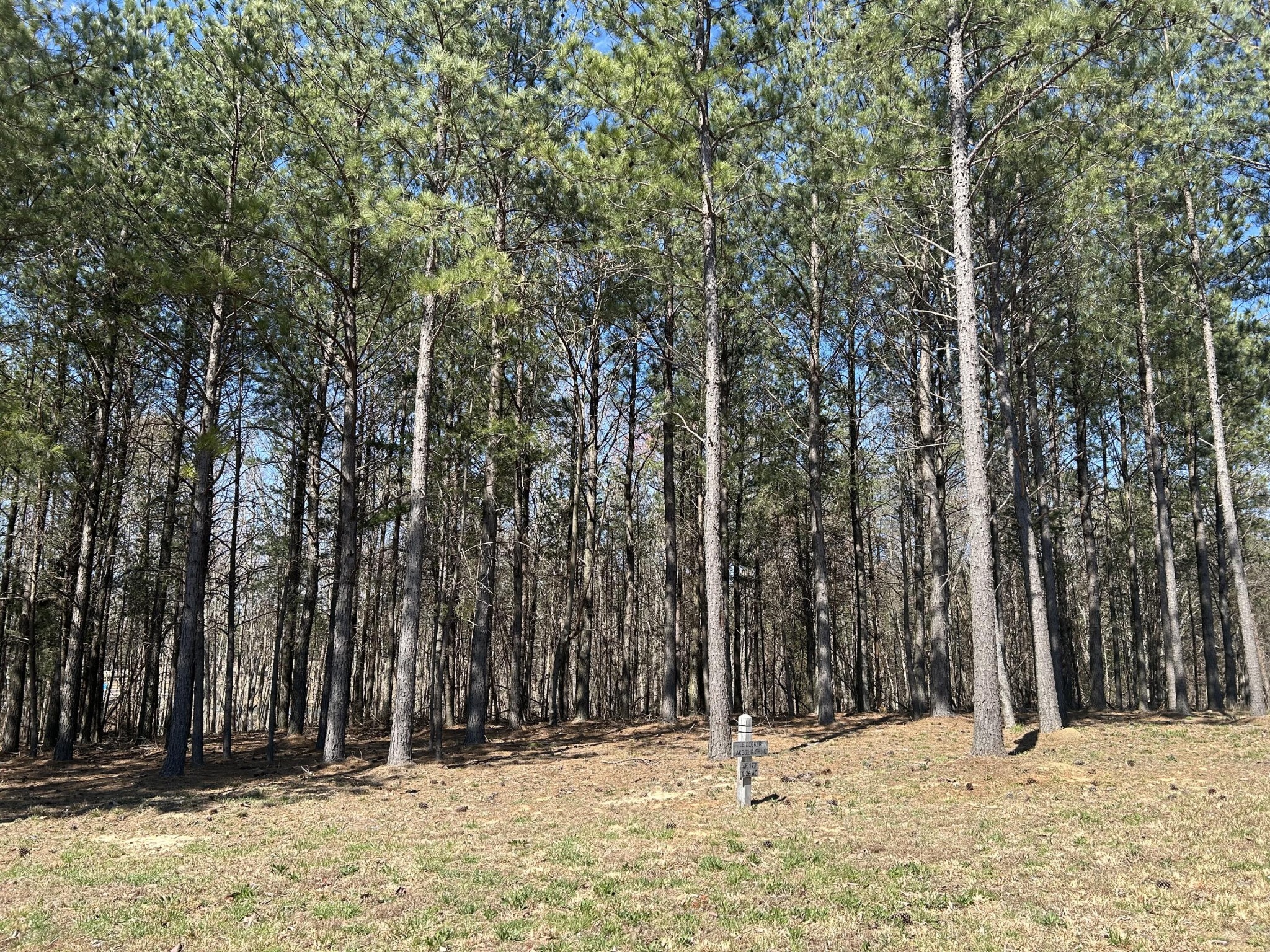 5140 Crockett Point Jasper TN 37347