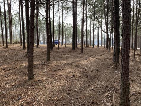 5140 Crockett Point Jasper TN 37347