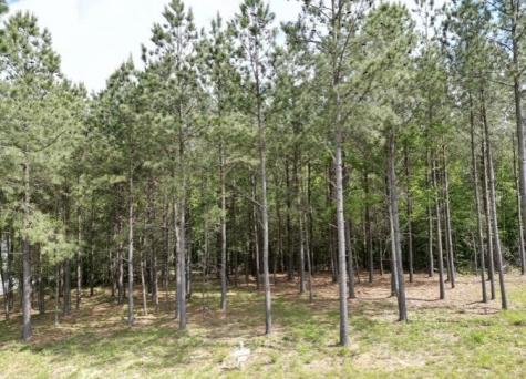 5140 Crockett Point Jasper TN 37347