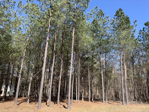 5140 Crockett Point Jasper TN 37347