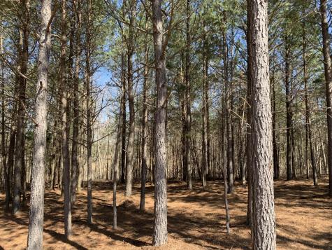 5140 Crockett Point Jasper TN 37347