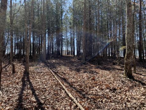 5140 Crockett Point Jasper TN 37347