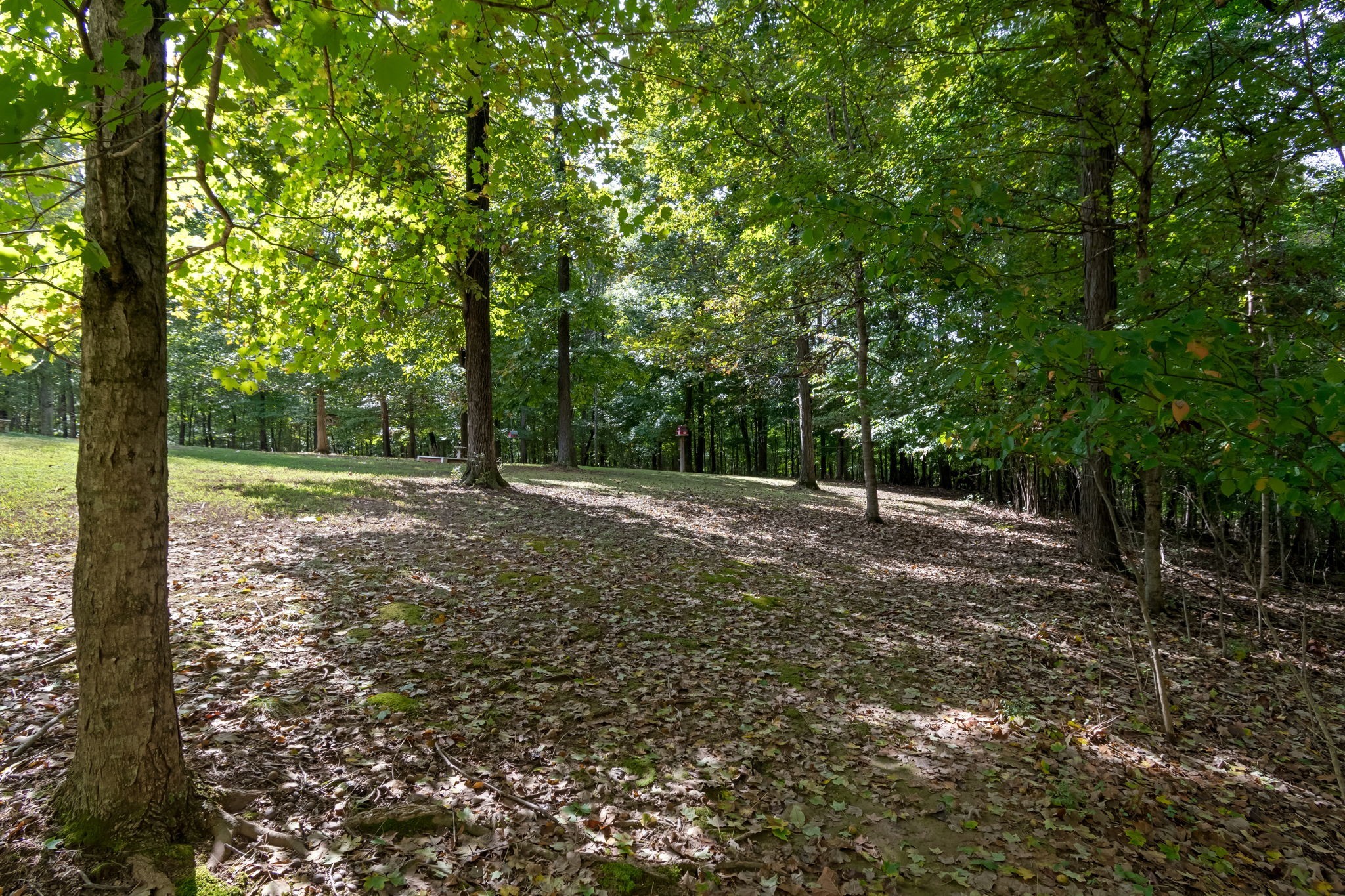 5756 Burgess Gower Road Springfield TN 37172