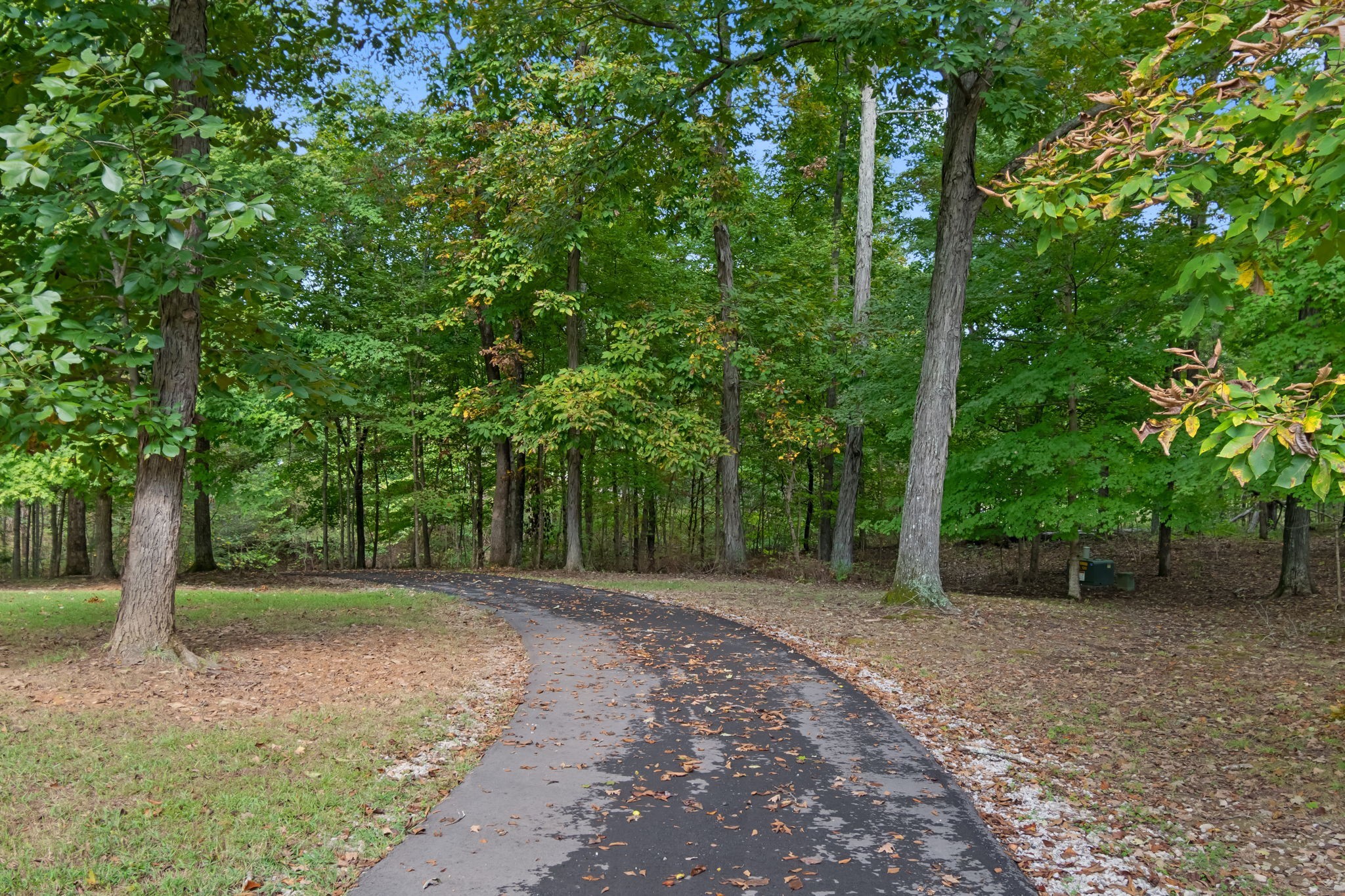 5756 Burgess Gower Road Springfield TN 37172