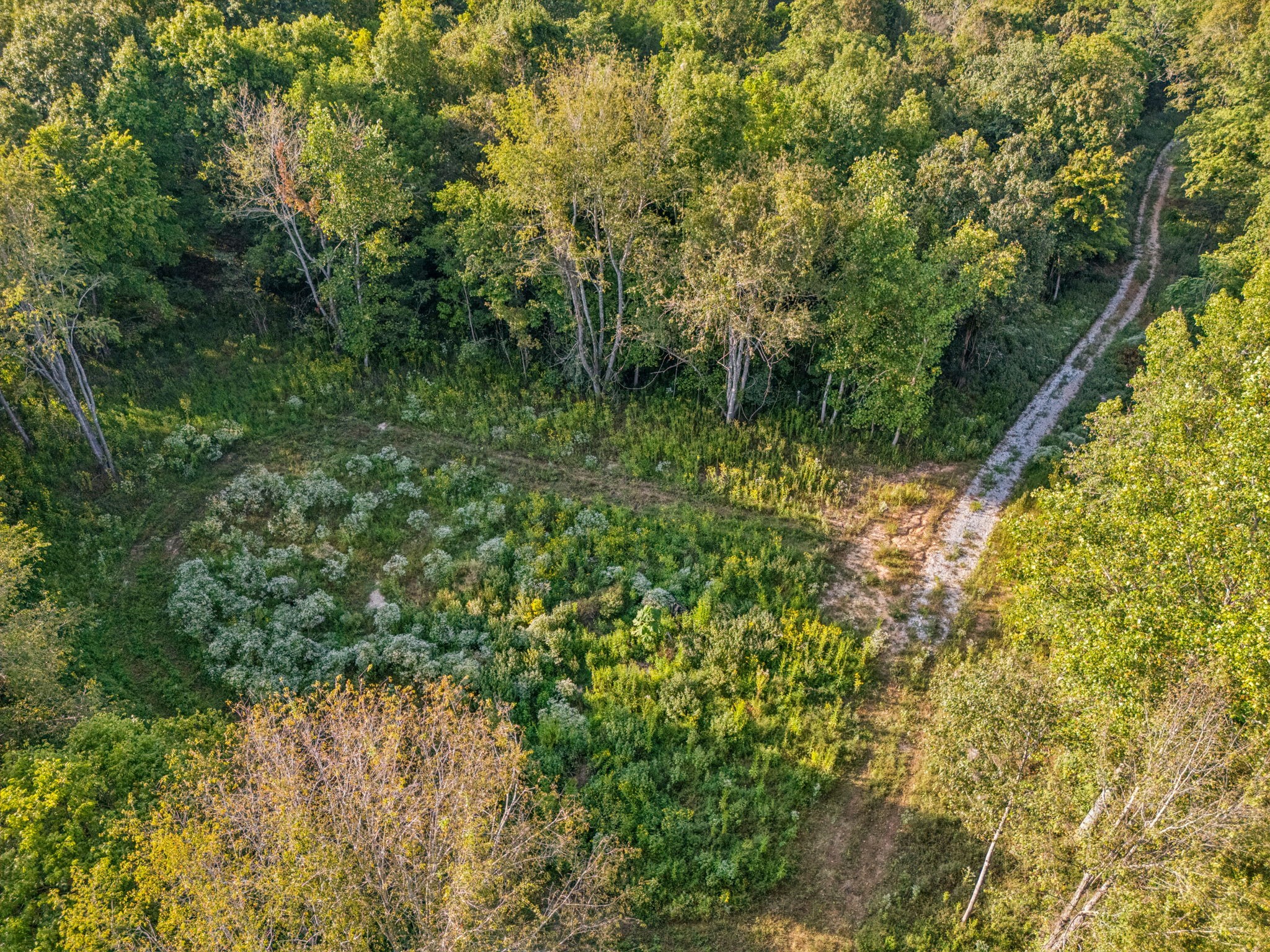 3294 Burr Road Springfield TN 37172