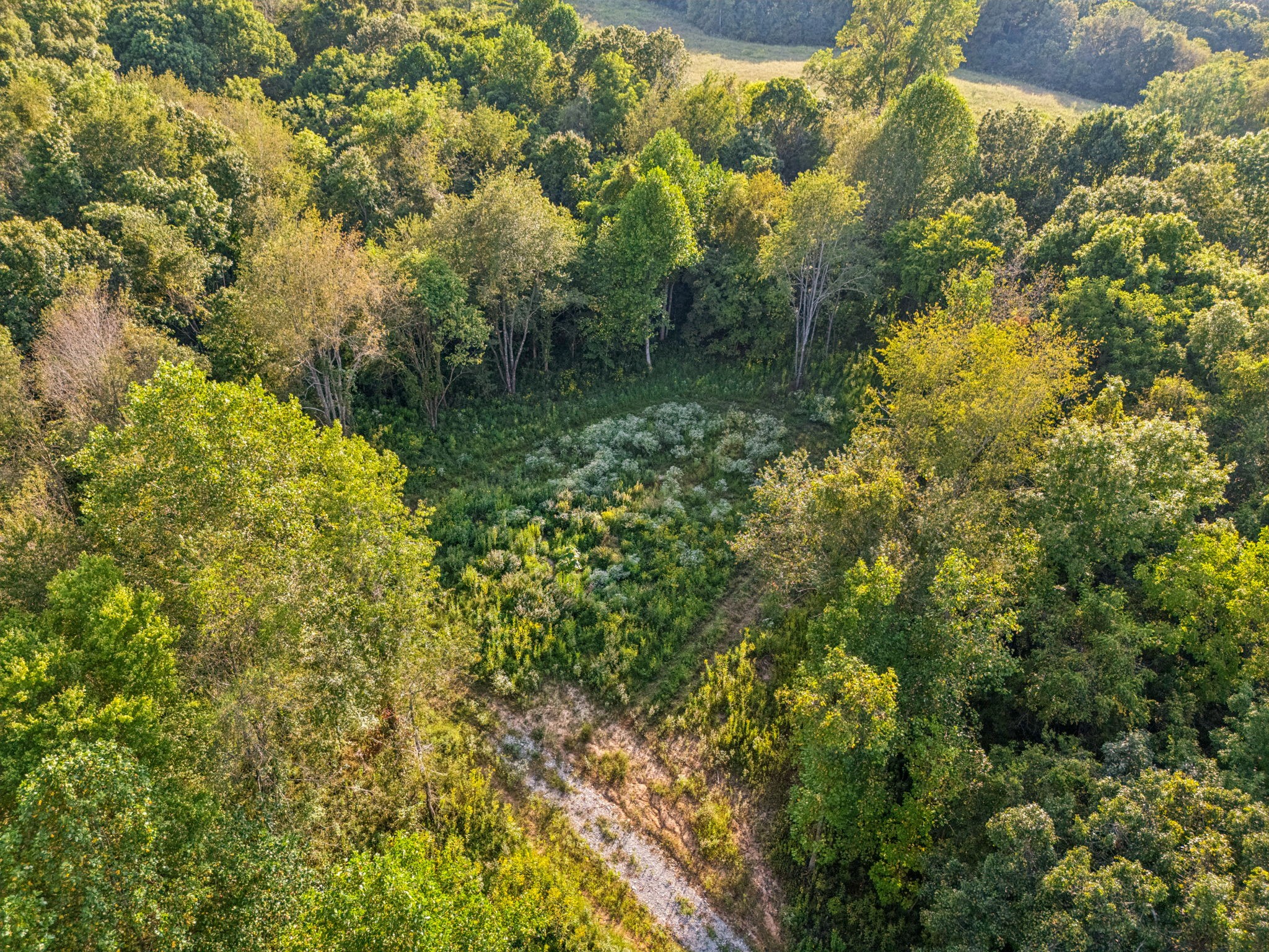 3294 Burr Road Springfield TN 37172