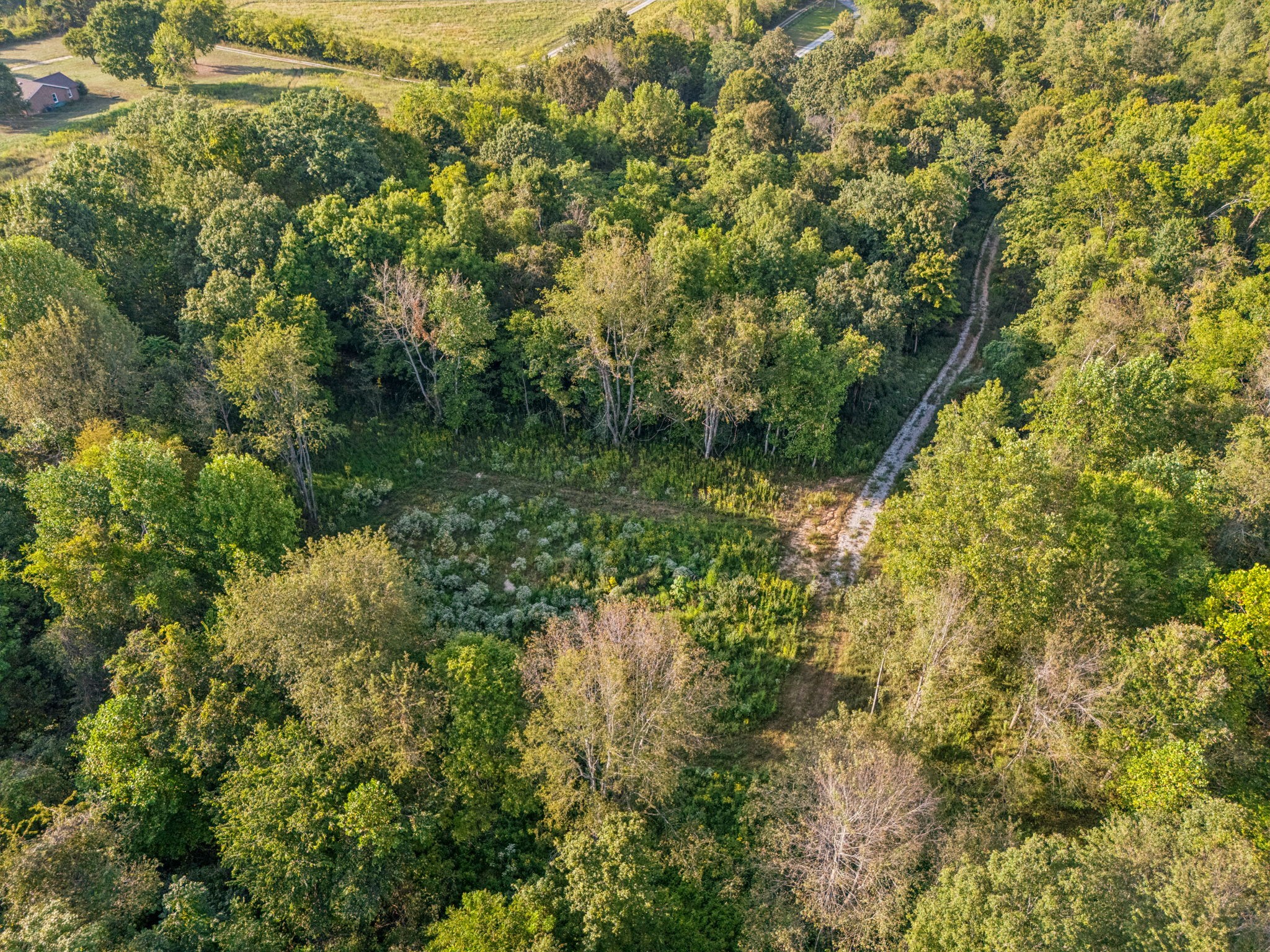 3294 Burr Road Springfield TN 37172