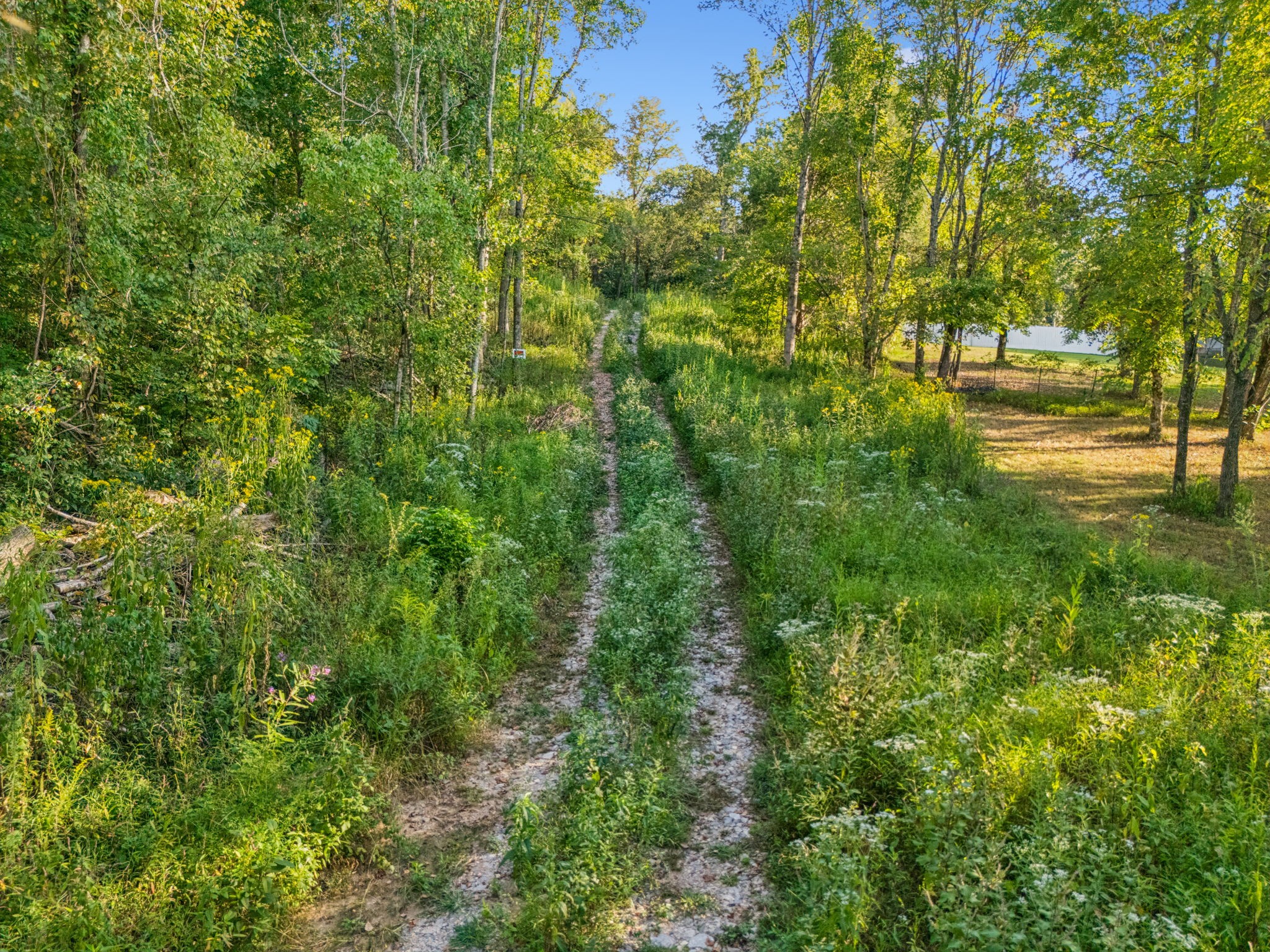 3294 Burr Road Springfield TN 37172