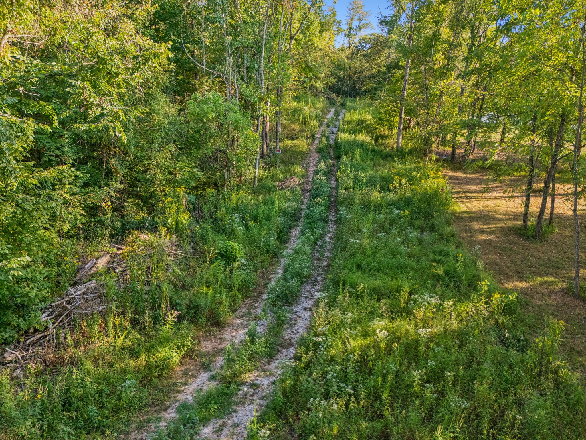 3294 Burr Road Springfield TN 37172