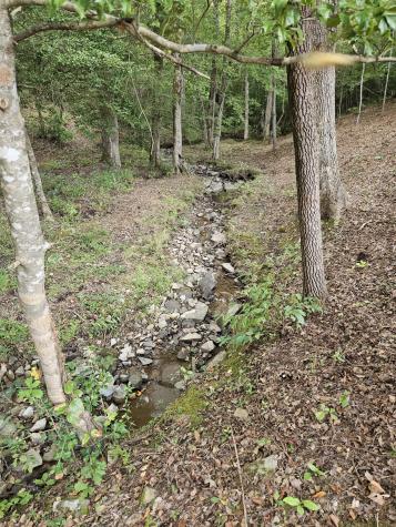 25 Creekview Lane Altamont TN 37301