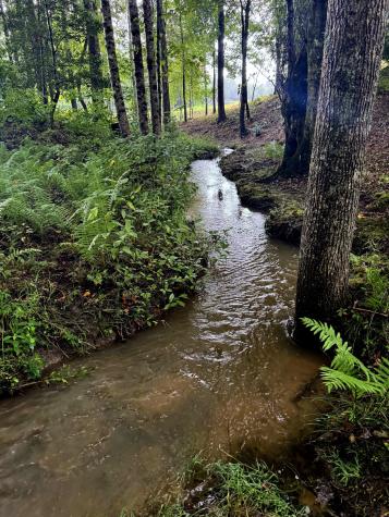 25 Creekview Lane Altamont TN 37301