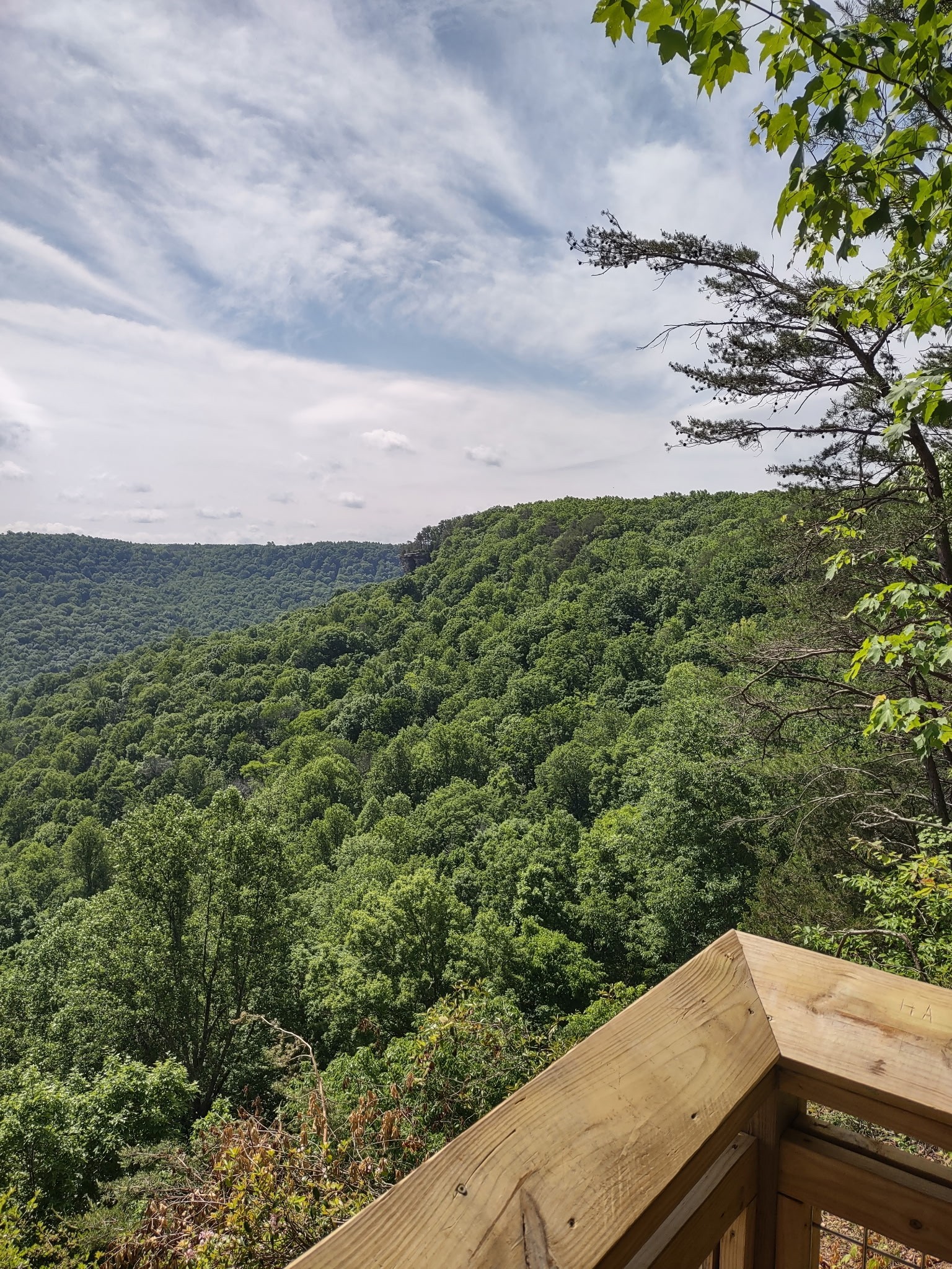 689 Stone Door Road Beersheba Springs TN 37305